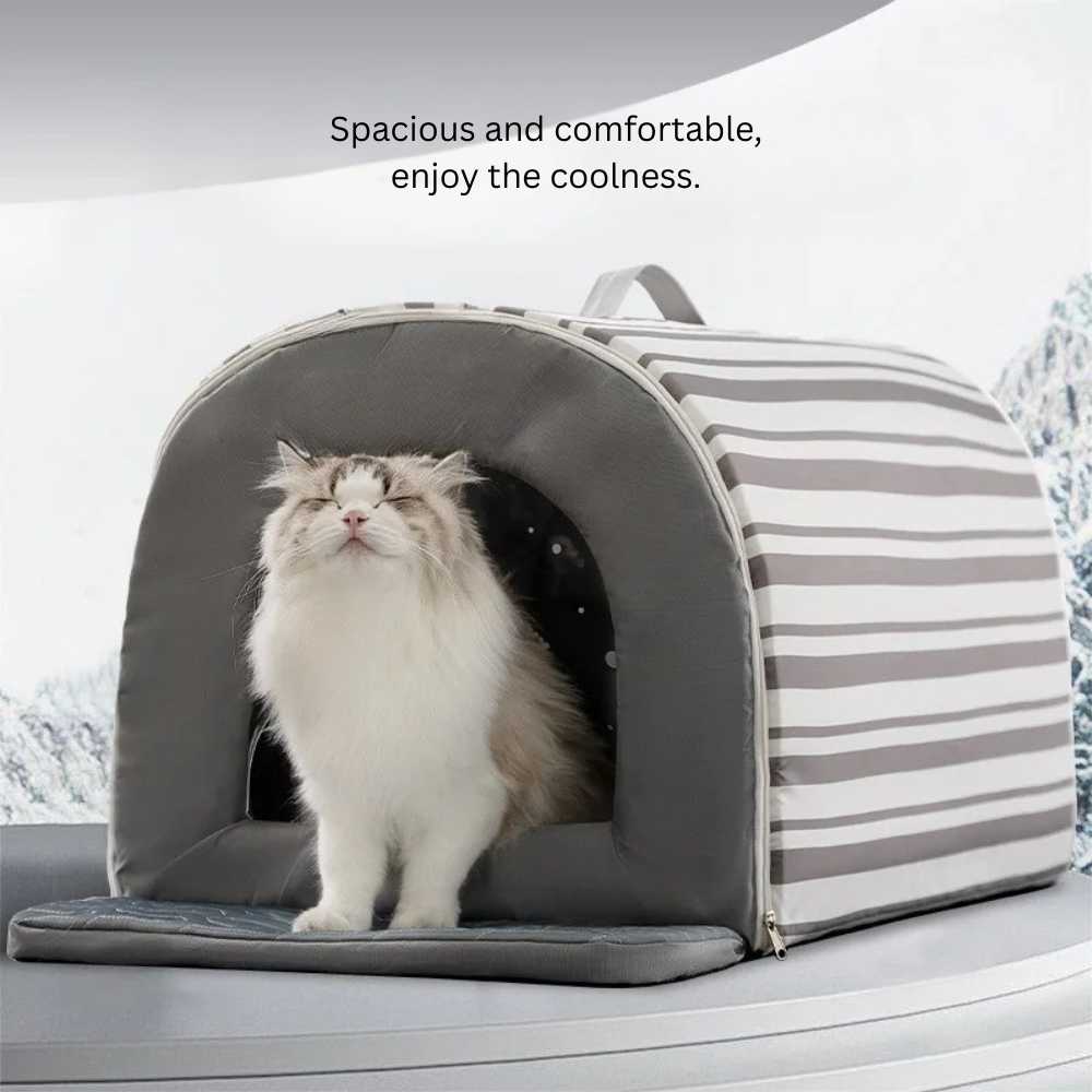 ChillPaws Haven