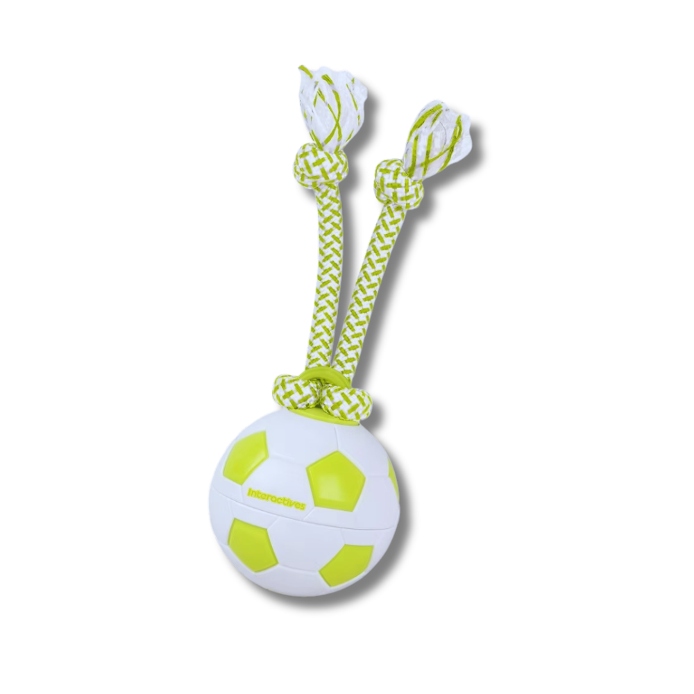 ChaseBuddy Ball
