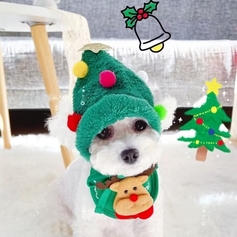 PawSanta Holiday Set