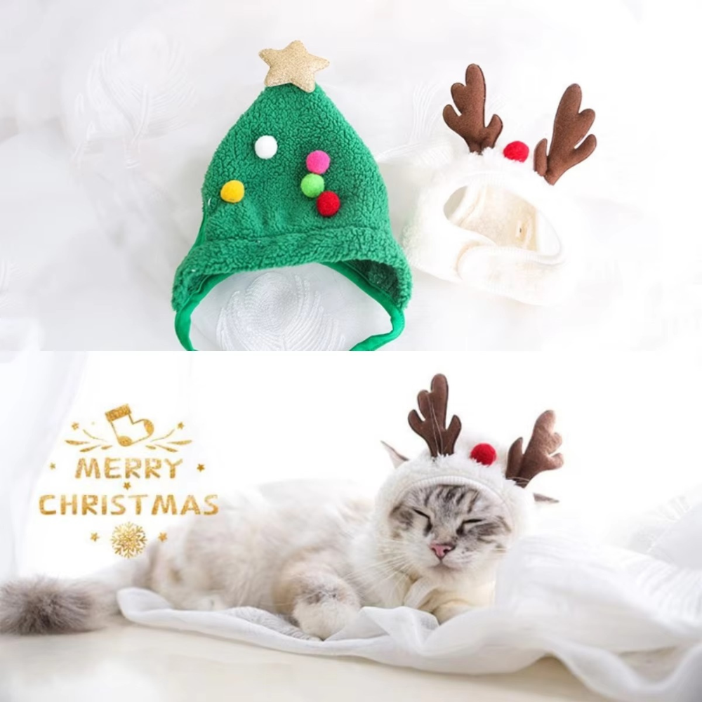 PawSanta Holiday Set