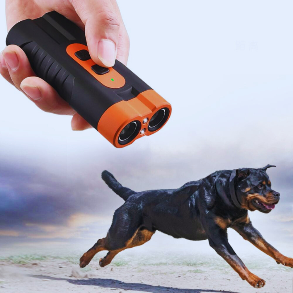 SilentPaw