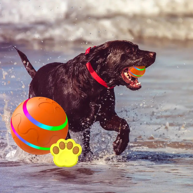WaggleBall