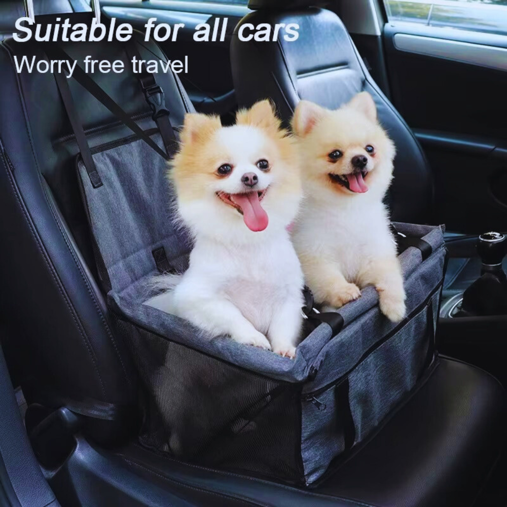 PawRide Nest