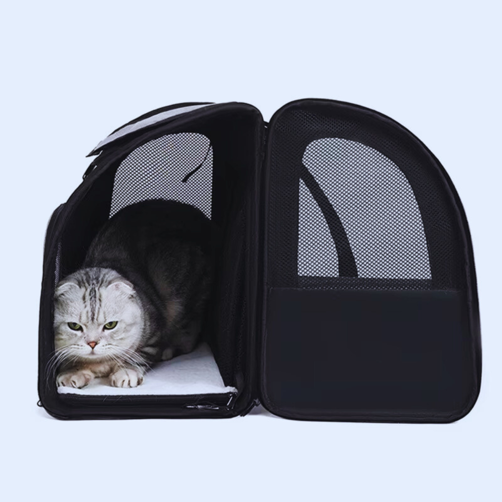 JourneyPaws Crate