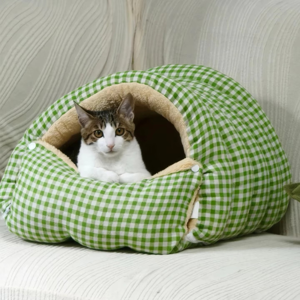 ComfyCave House