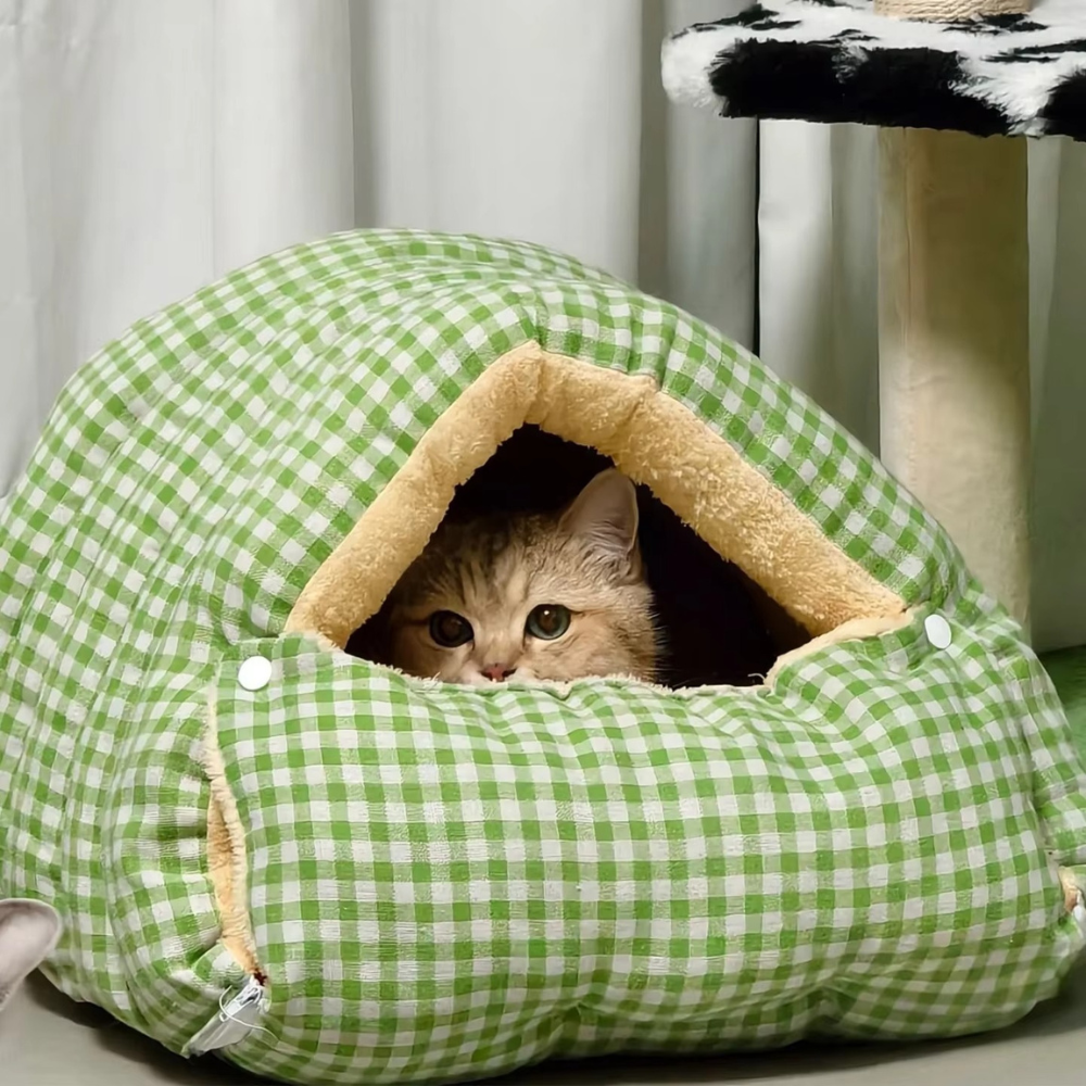 ComfyCave House