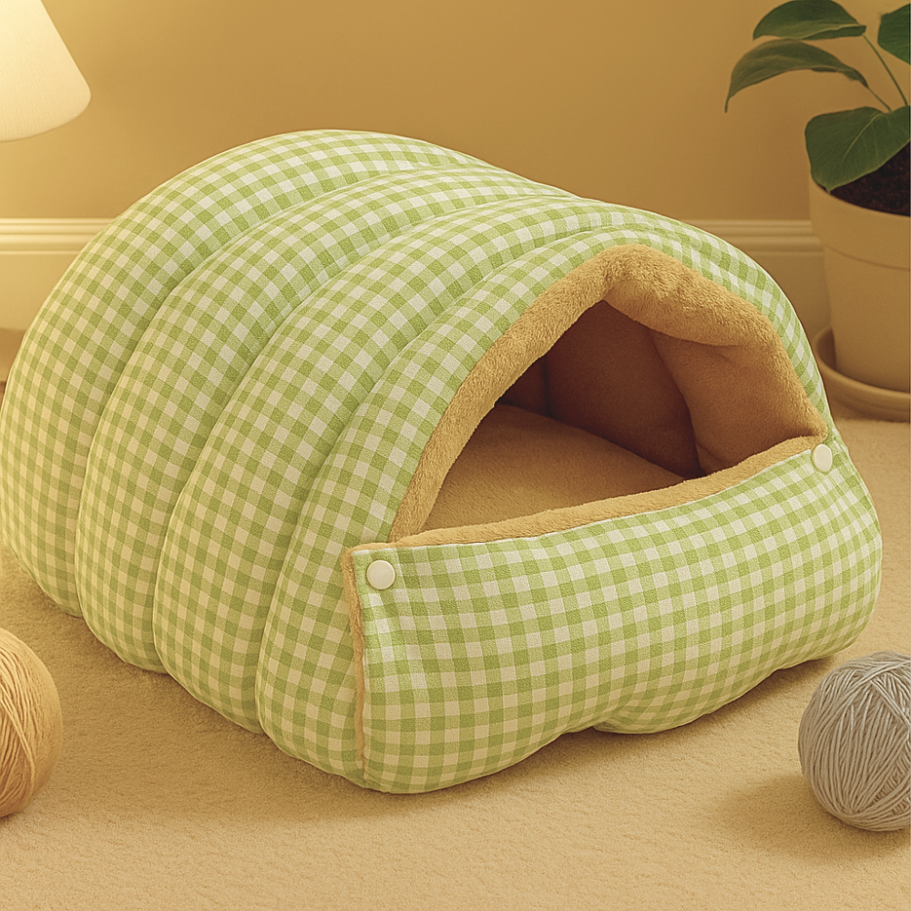 ComfyCave House