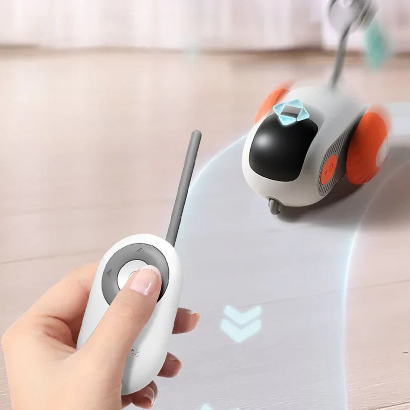 SmartPounce Toy