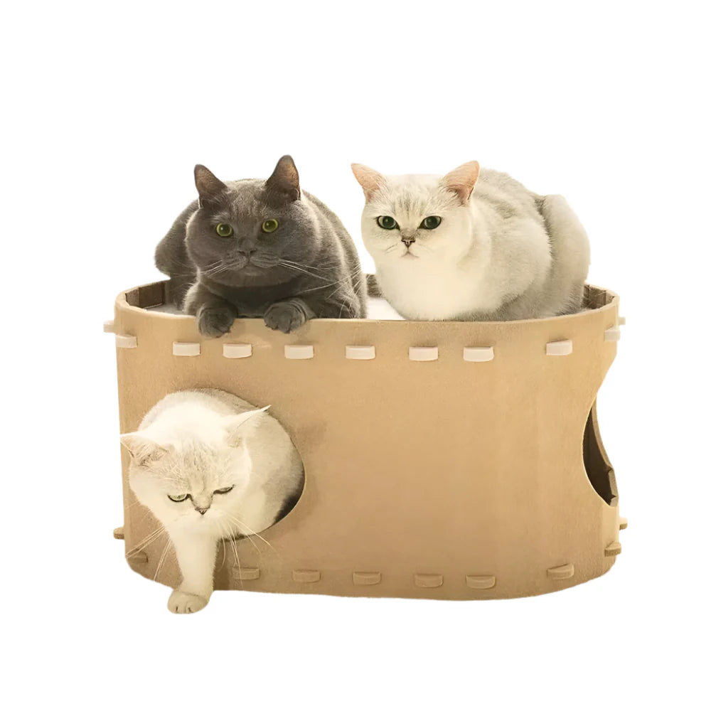 PurrCove Hideaway