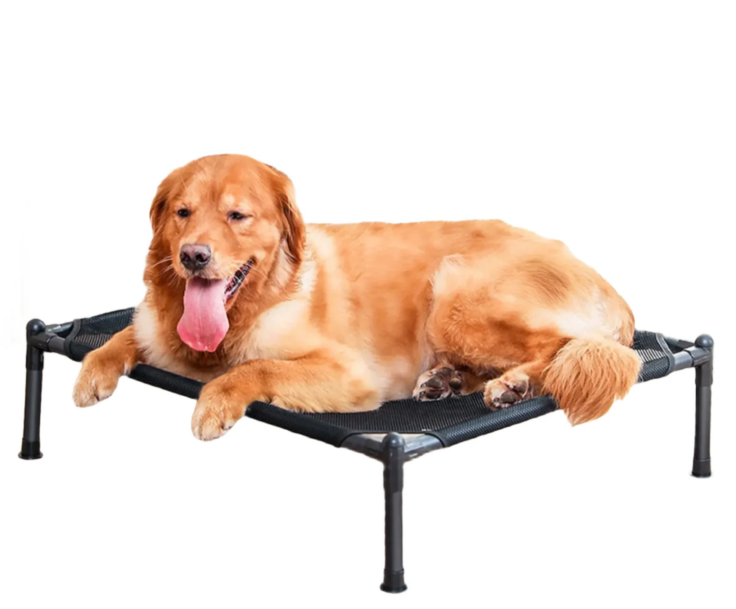 SkyNap Raised Bed