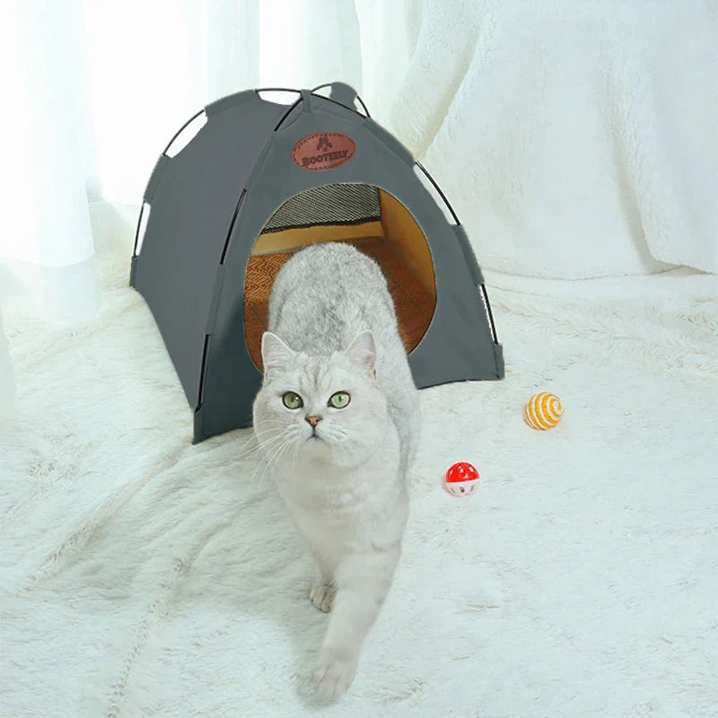PawPalace