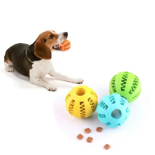 Snack & Play