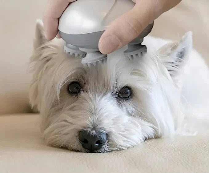 ZenPaws Massager