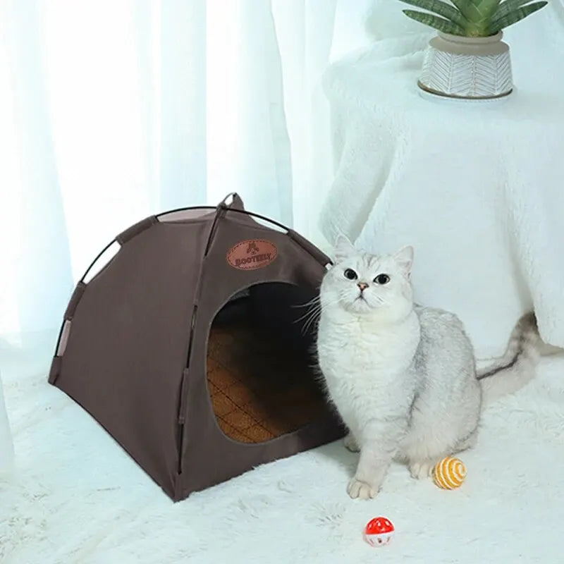 PawPalace