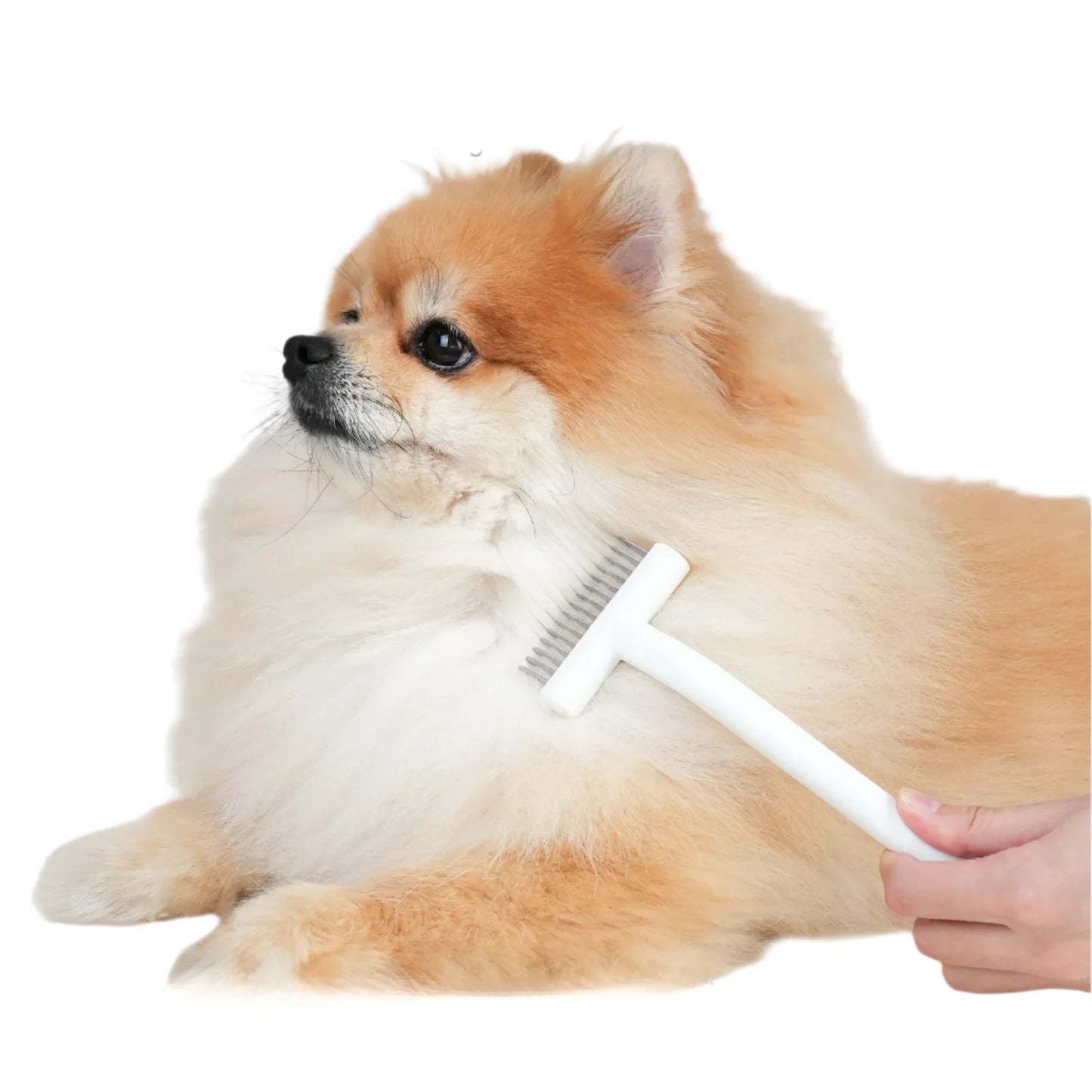 FurTidy Pro