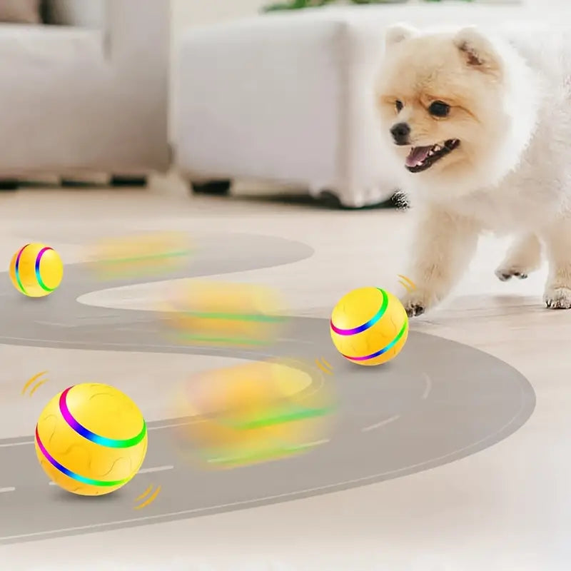 WaggleBall