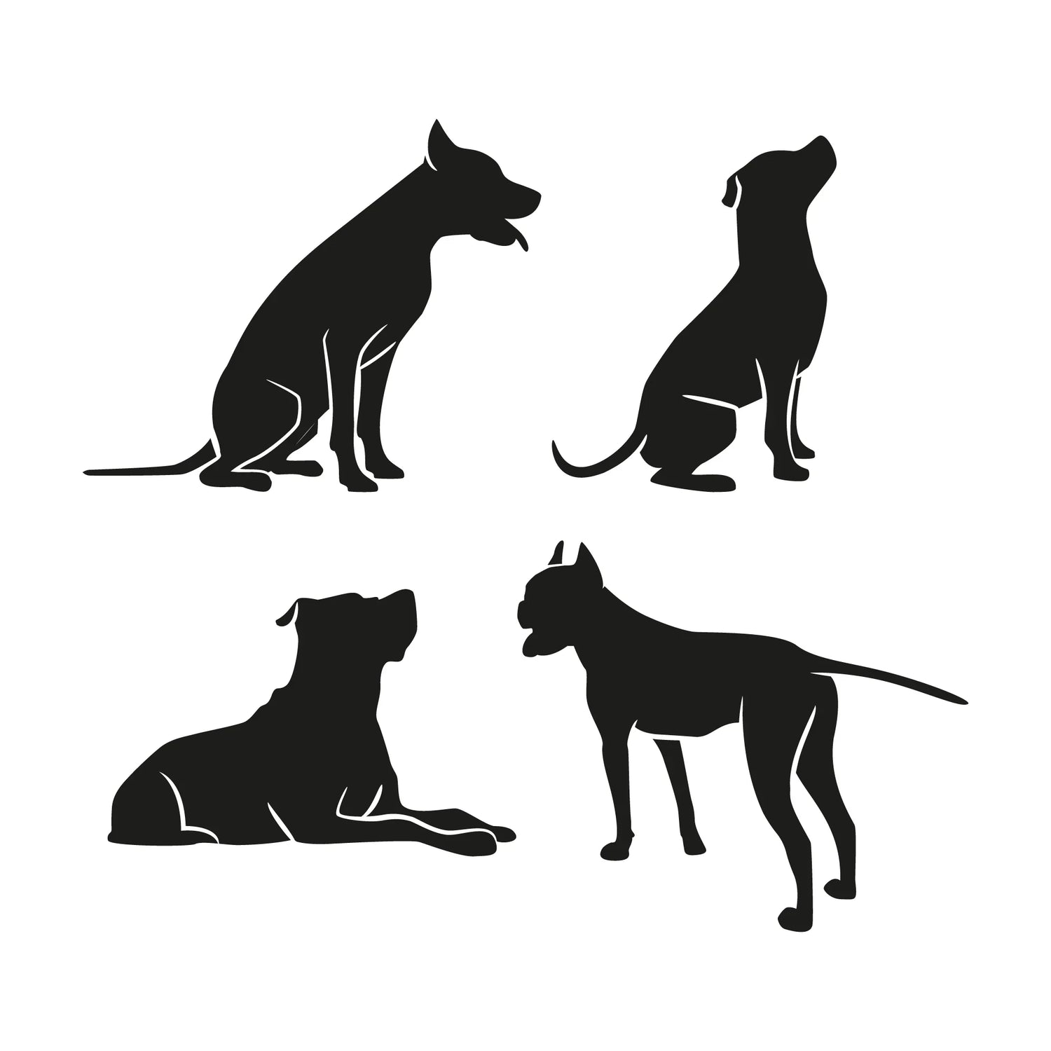 Dogs