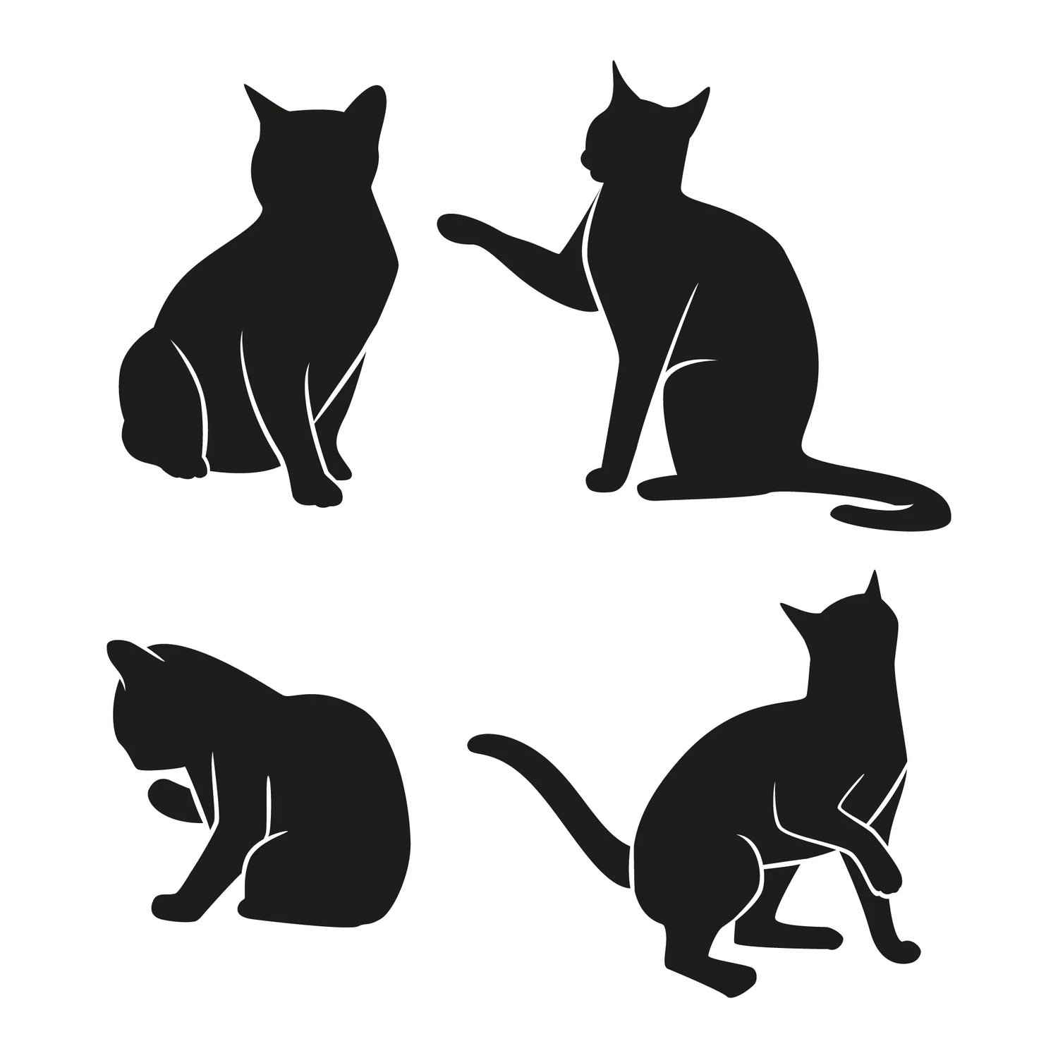 Cats