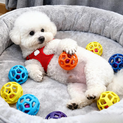 ChewQuest Puzzle Ball