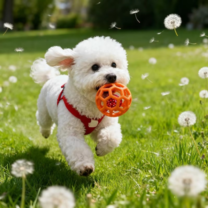 ChewQuest Puzzle Ball