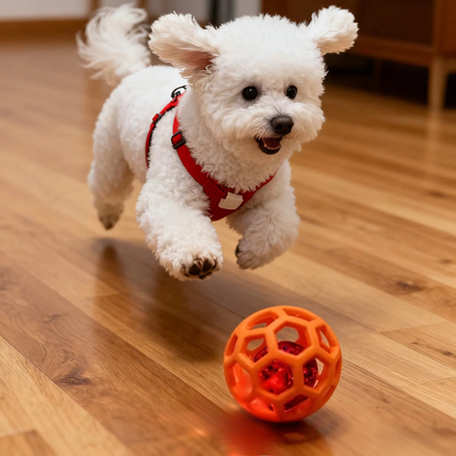 ChewQuest Puzzle Ball