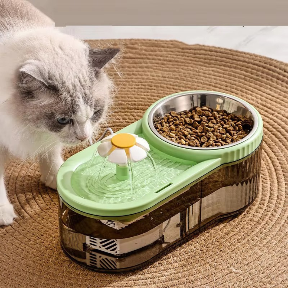 BloomFlow Pet Fountain
