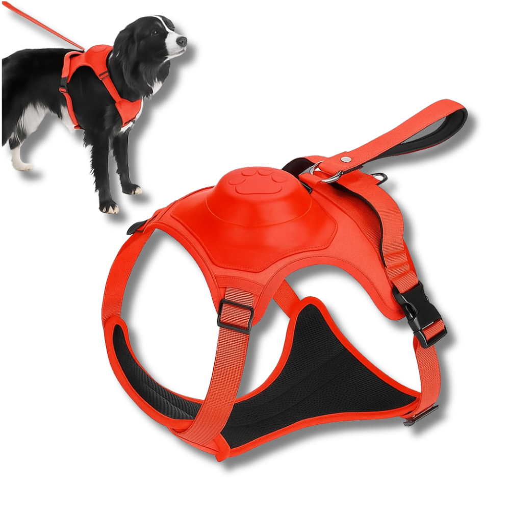 PawPilot Harness