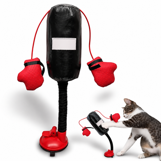 PurrPunch