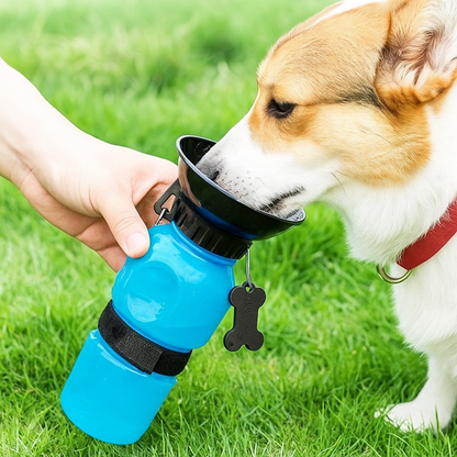 HydraPaw Bottle