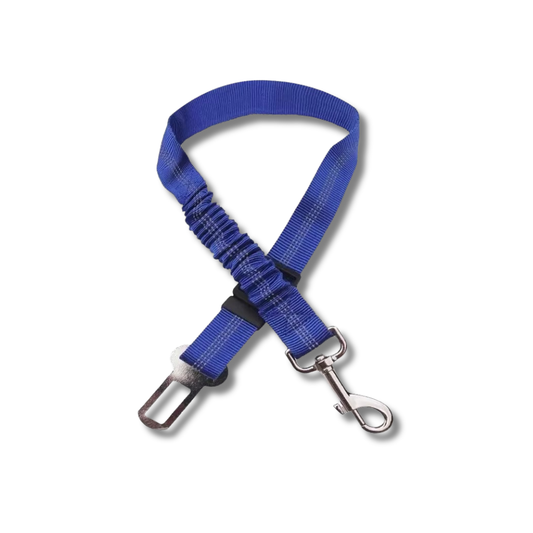 TailSecure Car Leash