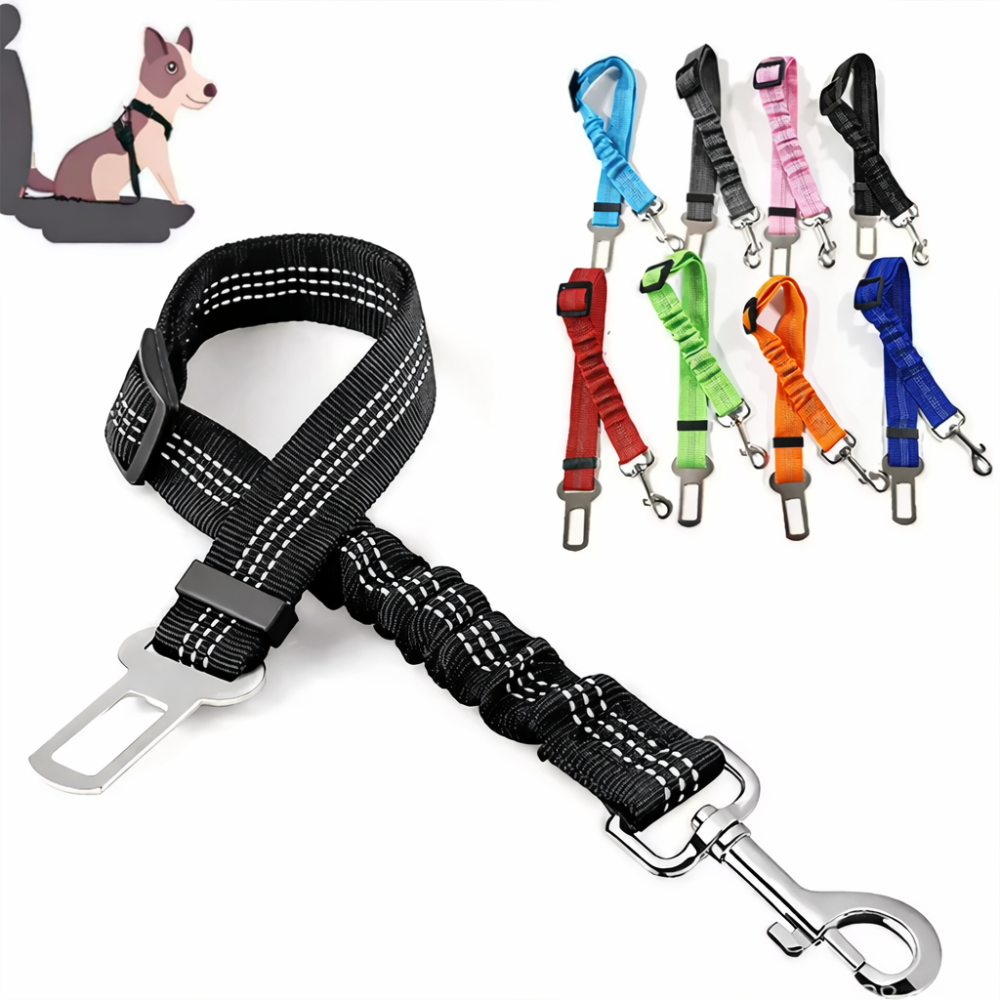 TailSecure Car Leash