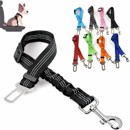 TailSecure Car Leash