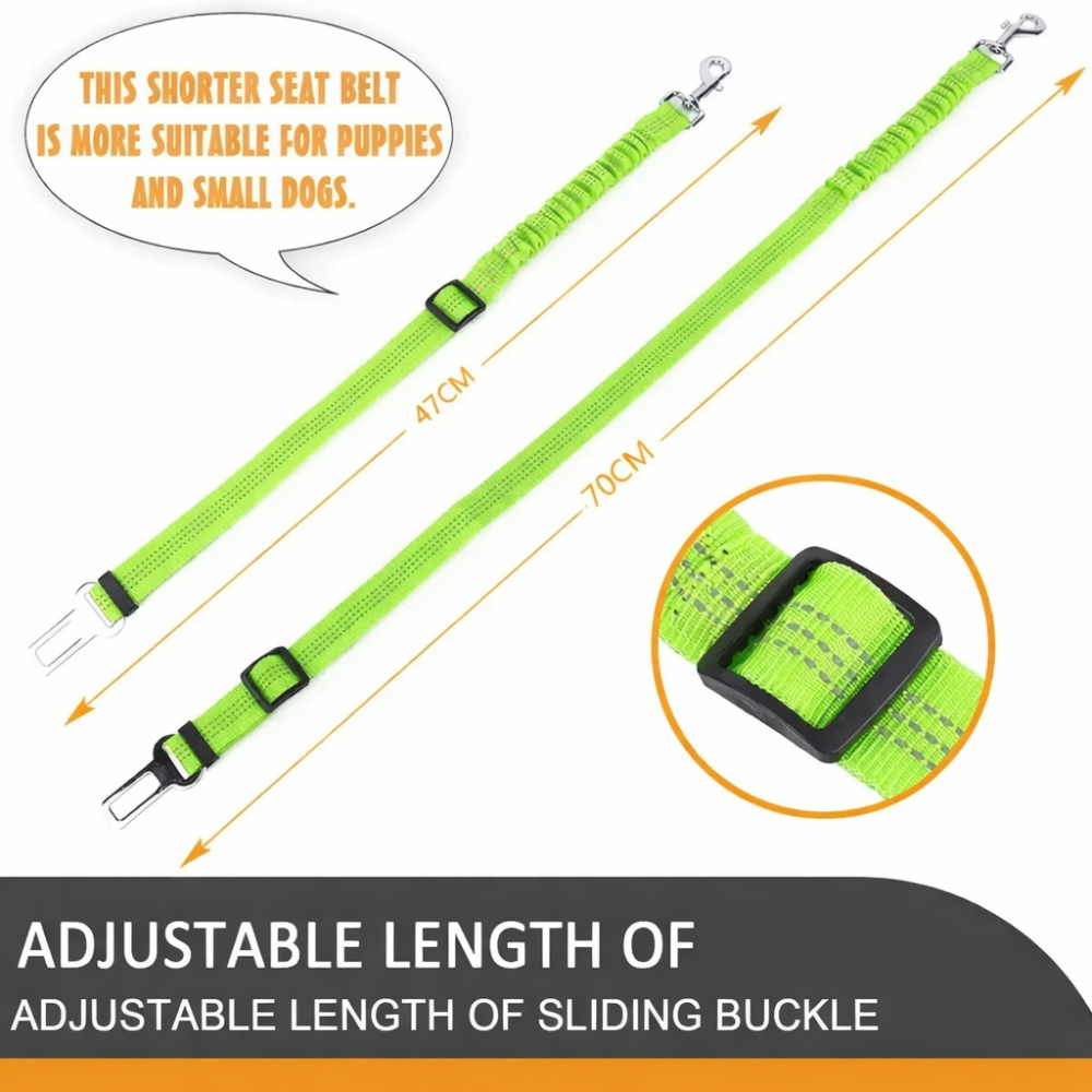 TailSecure Car Leash