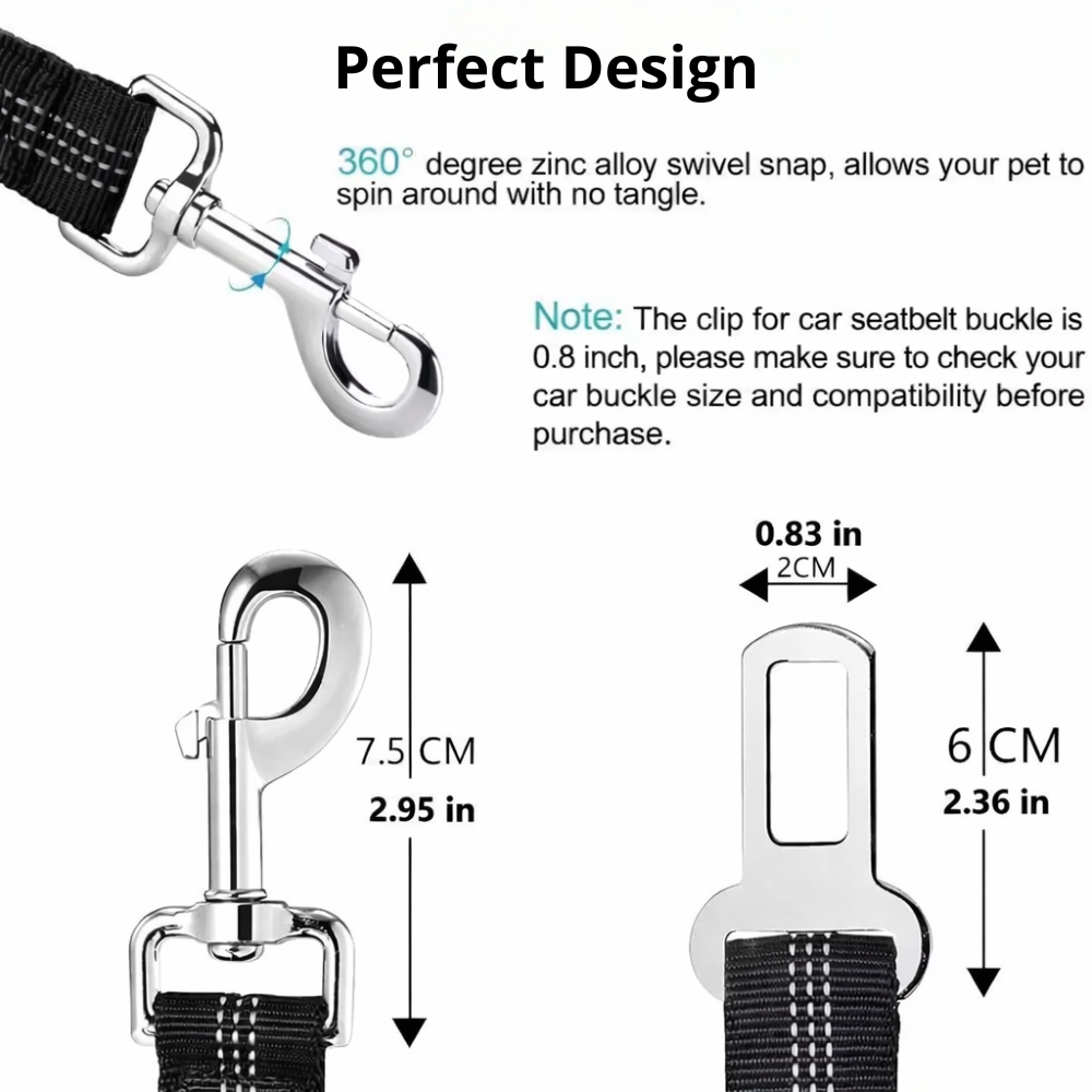 TailSecure Car Leash