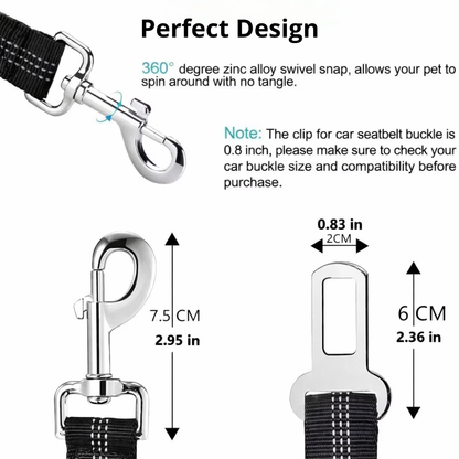 TailSecure Car Leash