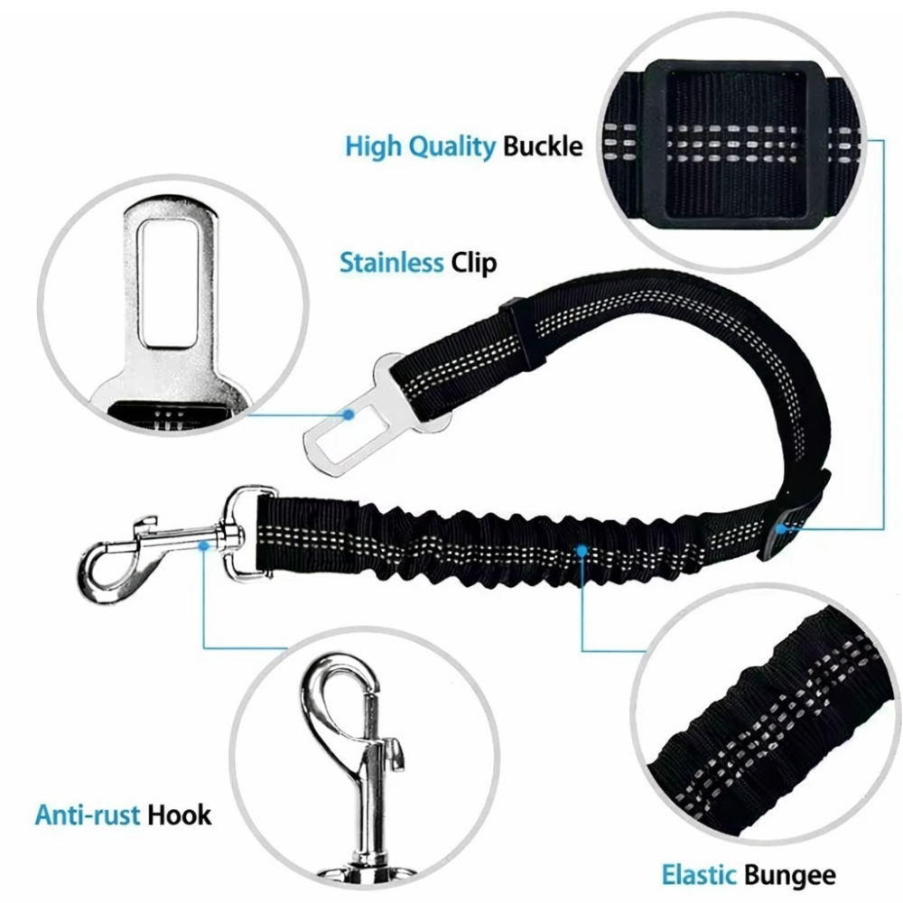 TailSecure Car Leash