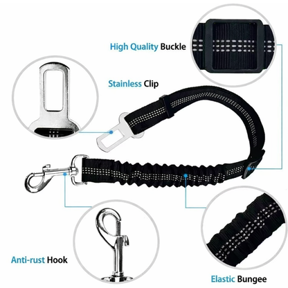 TailSecure Car Leash