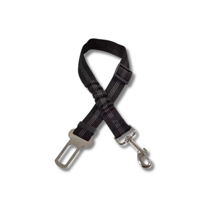 TailSecure Car Leash