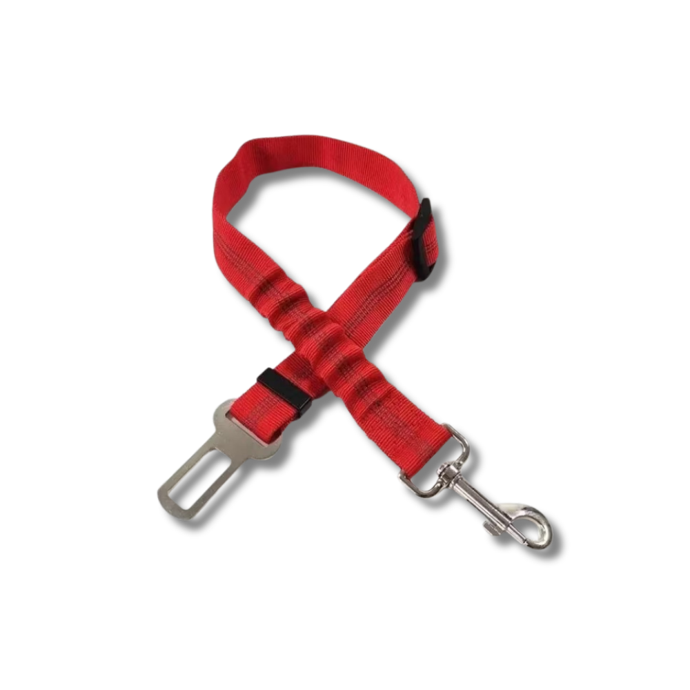 TailSecure Car Leash