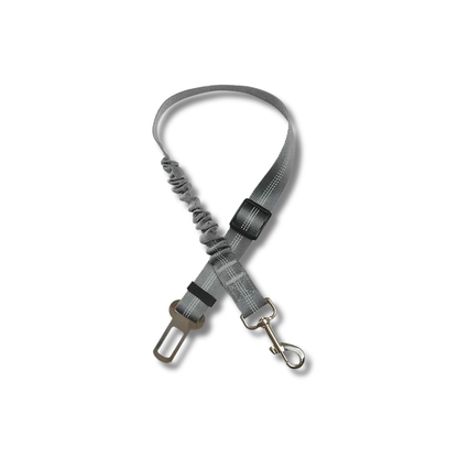 TailSecure Car Leash