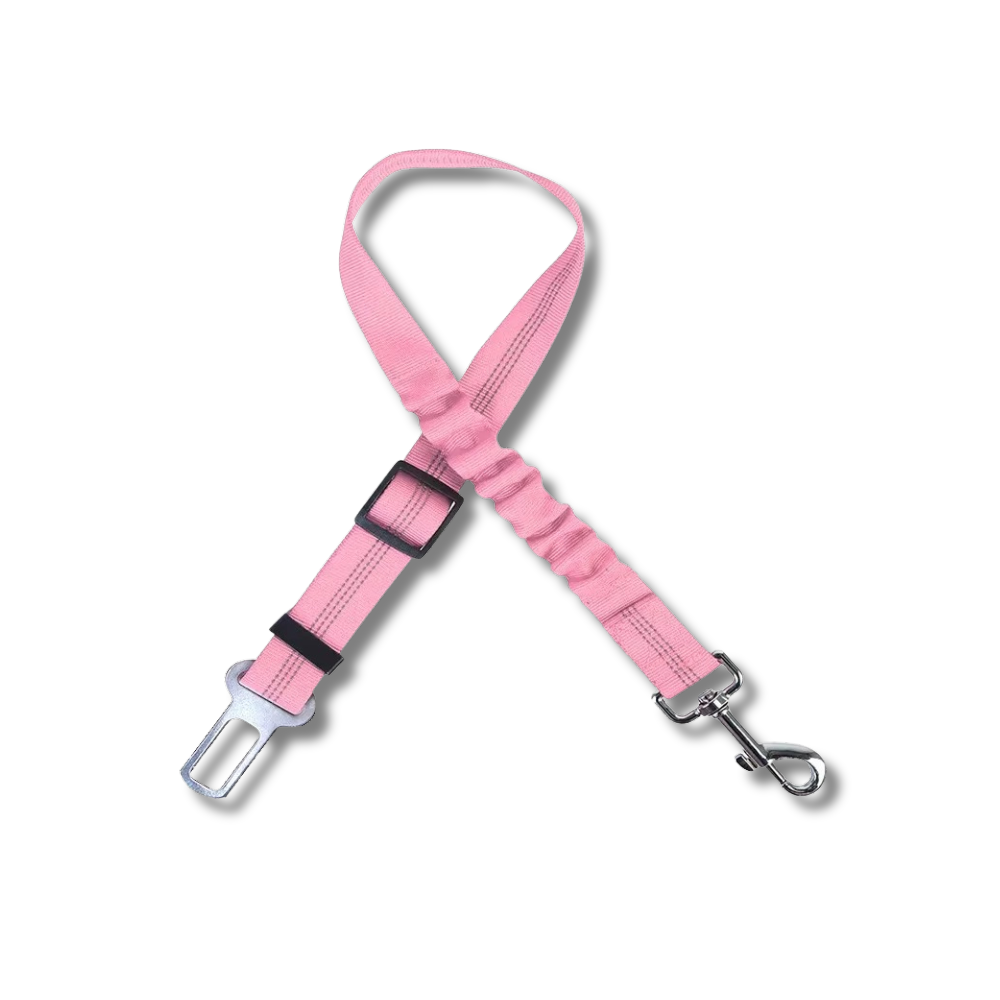 TailSecure Car Leash