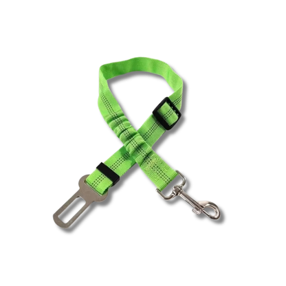 TailSecure Car Leash
