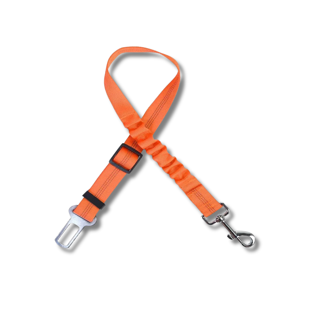 TailSecure Car Leash