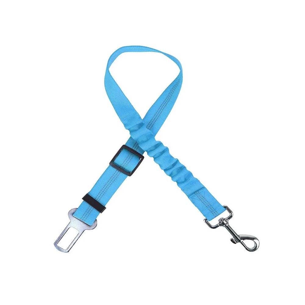 TailSecure Car Leash