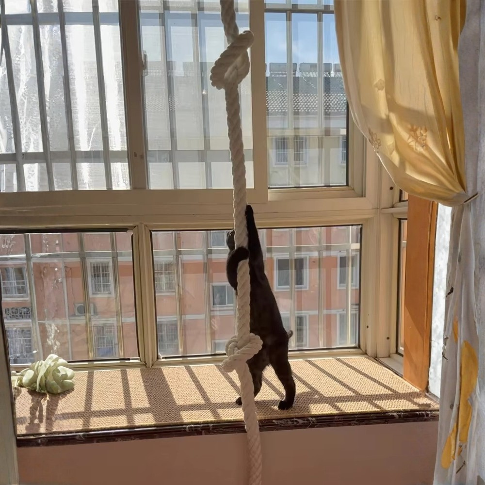 RopeRise Cat Climber