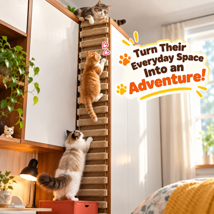 Wooden Cat Adventure Ladder
