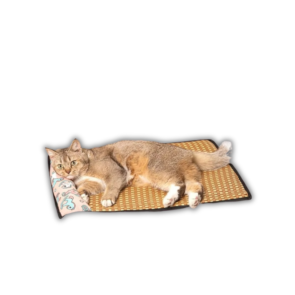 BreezeNap Pet Pad