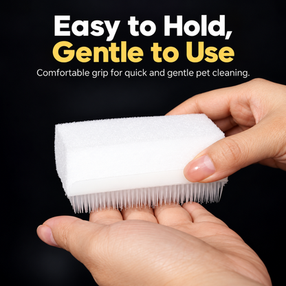 FurClean Sponge Scrub Brush