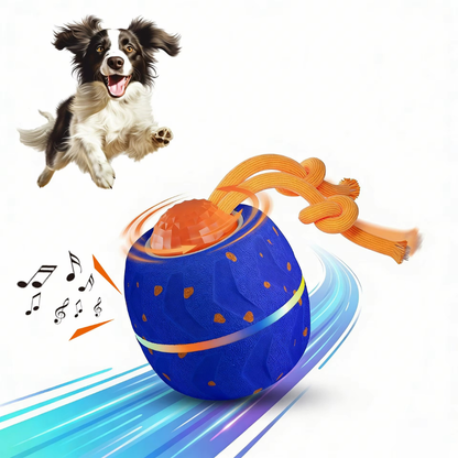 Pawsphere