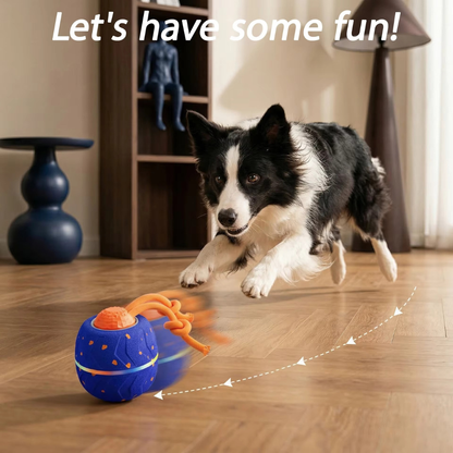 Pawsphere